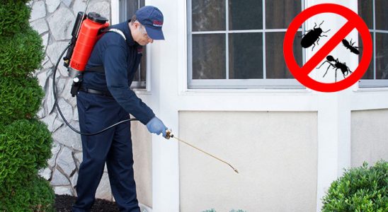 Soma Kemirgen İlaçlama böcek ilaçlama ve haşere kontrolü — ilaclama-tr.com